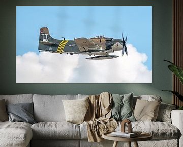 Douglas A-1D Skyraider warbird. van Jaap van den Berg