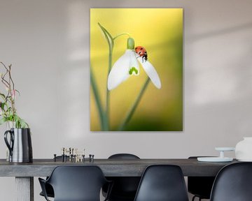 Lieveheersbeestje in de lente van Andrea Hofstra