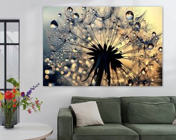 Pusteblume in der Morgensonne von Guido Schulte - Sign The Times