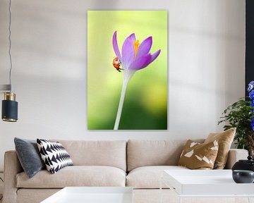 Lieveheersbeestje in de lente van Andrea Hofstra