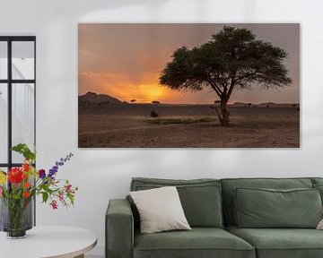 Sonnenuntergang in der Wüste von Hans Vellekoop