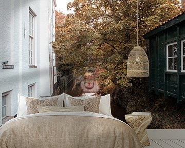 Amersfoort herfst aan de gracht