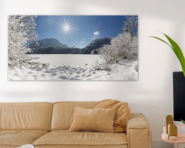 Een zonnige winterdag aan de Freibergsee van Walter G. Allgöwer