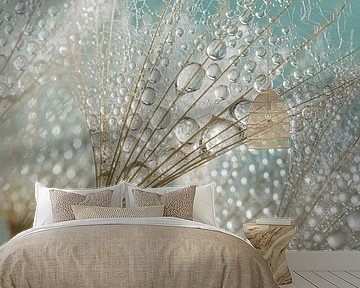 Fresh spring feeling! Tiny water droplets hang from the fluff of the Tragopogon by Marjolijn van den Berg