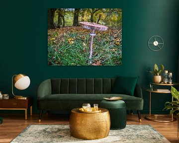 Zicht op paddenstoelen in een holle boom van Andreas Völkel