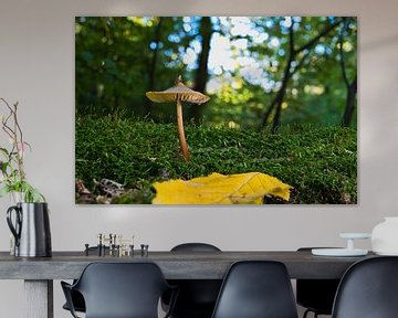 Zicht op paddenstoelen in een holle boom van Andreas Völkel