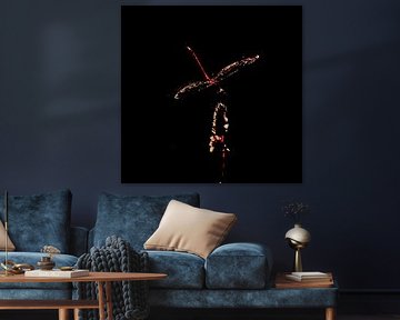 Libellule (en demi-teinte)