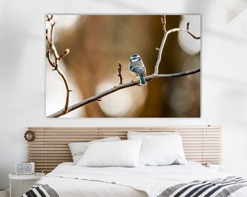 Pimpelmees Vogel Balancerend op een Tak in Warm Licht van Femke Ketelaar