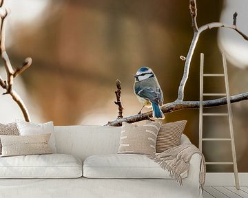 Blue tit Bird Balancing on a Branch in Warm Light by Femke Ketelaar
