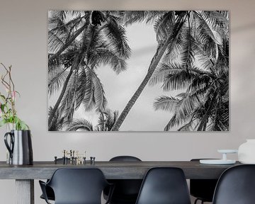 Tropisch Palmbomen in een Tijdloze Compositie in Zwart-Wit