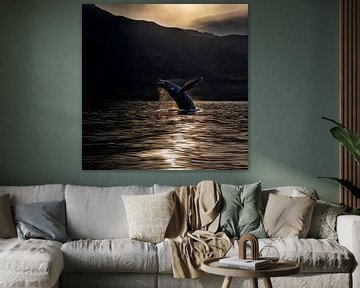Walvis springt op uit het water van Anouschka Hendriks
