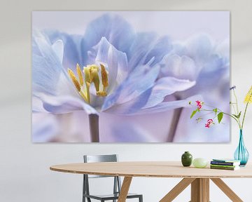 Tulpen van Violetta Honkisz