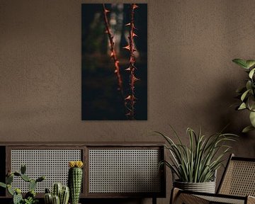 Atmosphärisches Licht- und Schattenspiel: Äste mit Zacken unter einem Sonnenstrahl in einer dunklen, tiefen Umgebung