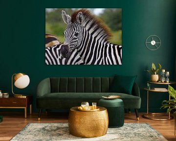 Jonge zebra - Wilde dieren in Afrika van W. Woyke