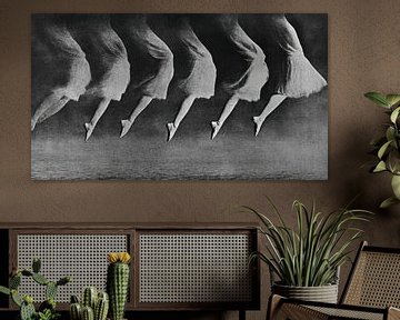 Graceful Ballet van Franka Poulain