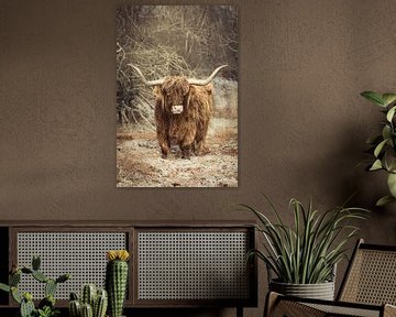 Majestueuze Hooglander in de Winterse Wildernis van Bas Meelker