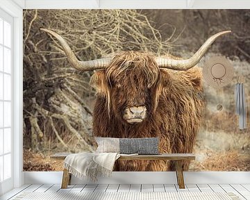 Majestic Highlander in the Winter Wilderness by Bas Meelker