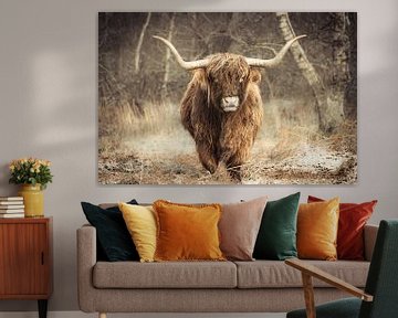 Majestueuze Hooglander in de Wildernis van Bas Meelker
