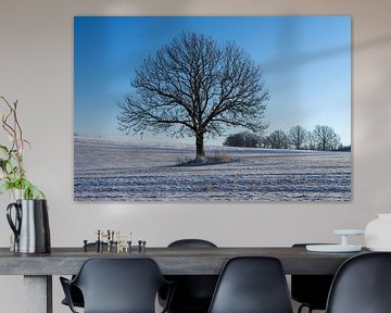 Winterlandschap met een eenzame boom en blauwe lucht van Animaflora PicsStock