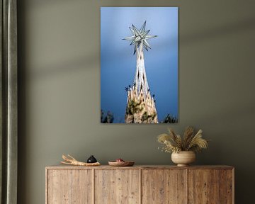 Sagrada Familia star of Barcelona by Ryan van Pelt