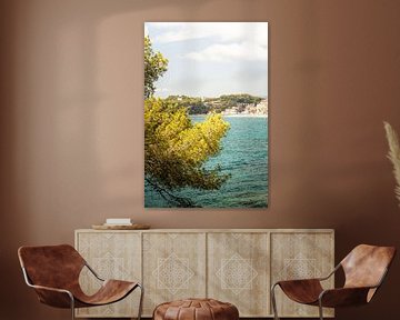 Lloret de mar sea tree by Ryan van Pelt