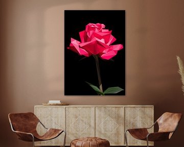 Rood Roze Roos Abstract Laagpolig van Yoga Art 15
