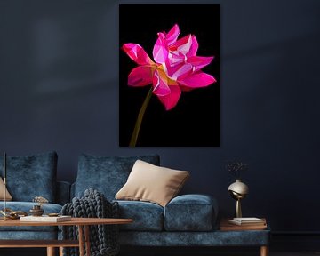 Roze rode lotusbloem laagpolig van Yoga Art 15