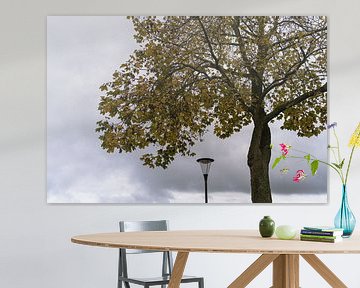 Stilleven met boom en lantaarn / Stillleben mit Baum und Laterne van Beate.fotopassie
