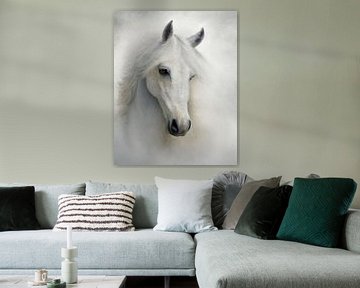 Bleek Paard van Frankie Soldado