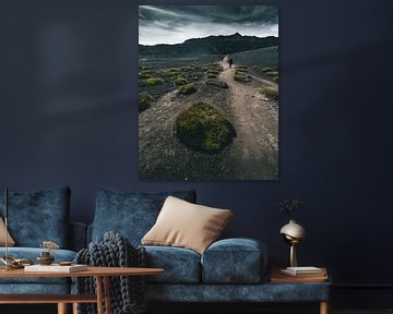 Landschap - Nieuw-Zeeland van Jip van Bodegom