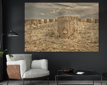 foam heads on the beach zeeland walcheren by anne droogsma