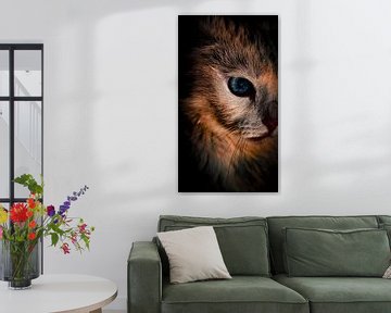 Faszinierender Blick: Eine Katze in einer dunklen, kontrastreichen Umgebung mit einem hypnotisierenden, tiefblauen Auge als strahlendes Zentrum von ByLulu