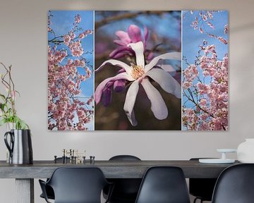 Collage - Magnoliabloesem en kersenbloesem van SusaZoom