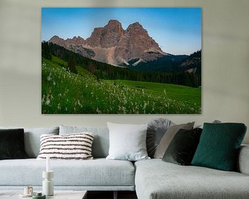 Domolmites italy