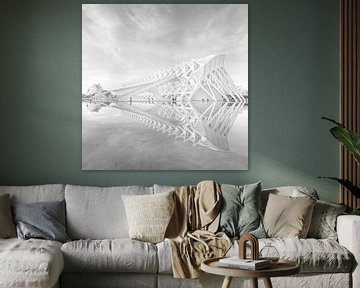 Perfecte reflectie van Jose Gieskes