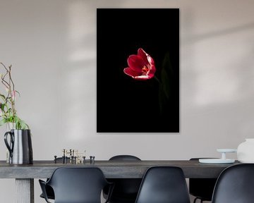 De tulp de voorjaarsbloem van Ineke Huizing