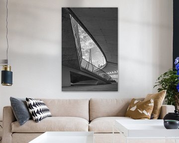 Urban Symmetry by Angelique van Hulst
