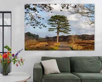 Arbre dans les dunes sur Frans Blok - des photos, de l'art et des autres décorations murales