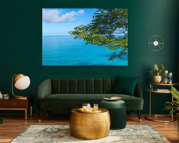 De boom bij de zee van Peter Baier