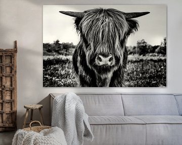 Schottisches Highlander-Kalb in einfarbig von Marco Rutten