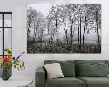 Uferlandschaft Schwackenreuter Seen bei Mühlingen mit Nebel und Raureif
