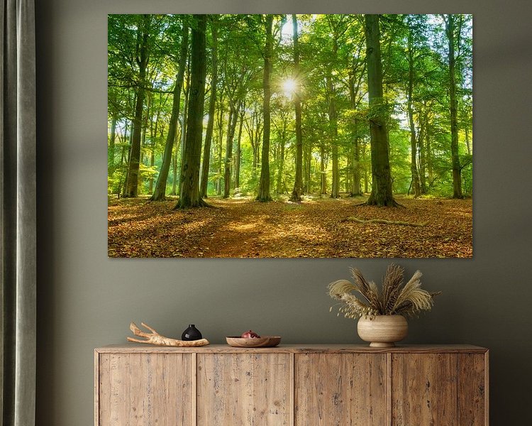 Aperçu de la chambre