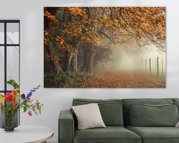Herbstliche Kastanienbäume auf dem Bodanrück bei Bodman