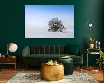 Besneeuwde boom in de mist van BlattArt - Christine Horn