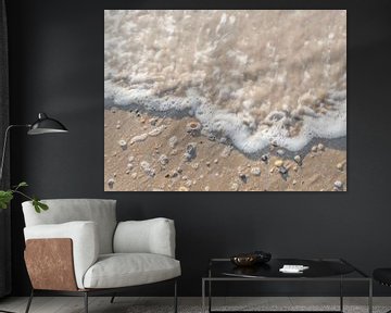 Nederlandse strandschelpen van Dagmar Pels