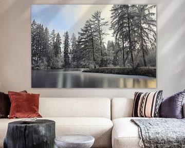 Waldweiher im Winter bei Mühlingen im Landkreis Konstanz