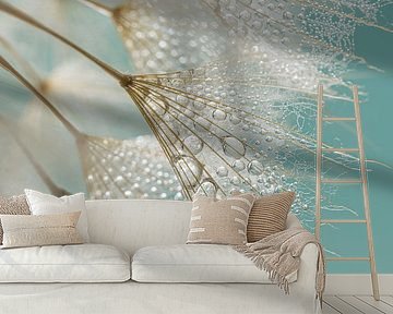 Spring feeling! Water droplets on the fluff of the Tragopogon by Marjolijn van den Berg