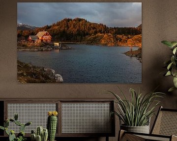 Lofoten Das Haus am See von Harald Marchhart