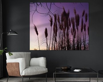 Sunrise van Angela Seubring