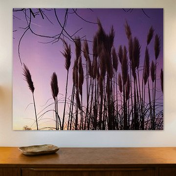 Lever de soleil, Deventer